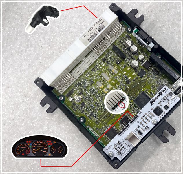 File:KPro Features VSSOUT Fig.1.jpg